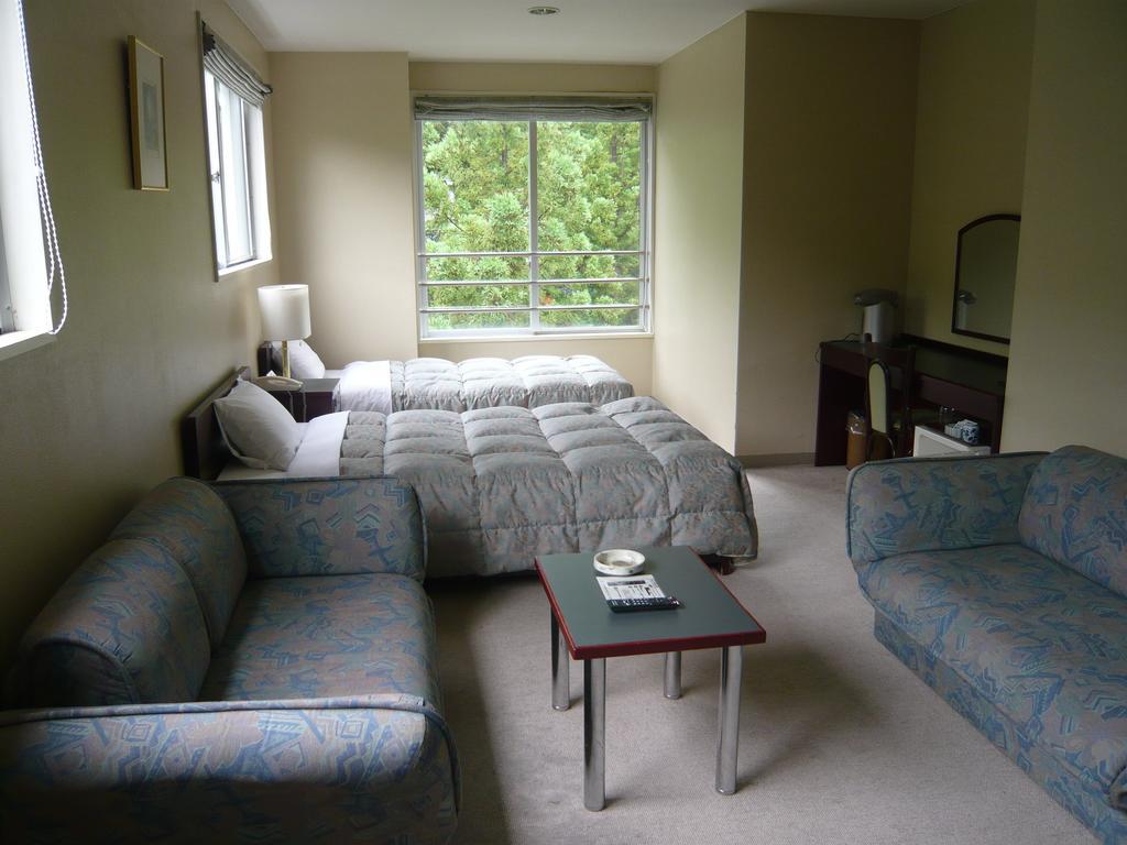 Hotel De L'Aile Hakuba Pokój zdjęcie